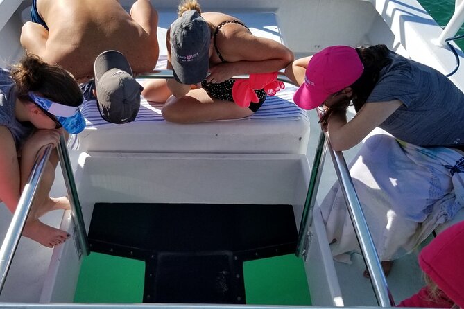 Key West: Snorkel, Sandbar & Dolphin Excursion - Snorkeling and shoreline time on a remote beach in the Keys