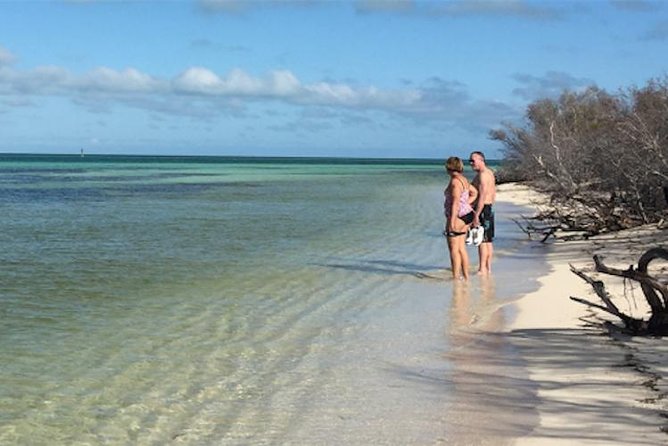 Key West: Snorkel, Sandbar & Dolphin Excursion - Dolphin time: when the stop turns into real wildlife watching