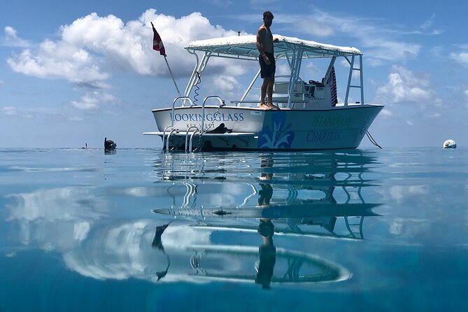 Key West: Snorkel, Sandbar & Dolphin Excursion - Boat comfort details that matter (especially for half-day timing)