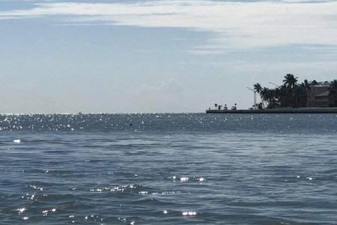 Key West Stand Up Paddleboard Rental - Key Highlights You’ll Care About