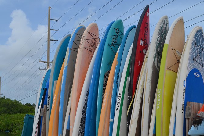 Key West Stand Up Paddleboard Rental - Meeting at 5114 Overseas Hwy on Stock Island