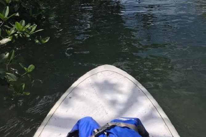 Key West Stand Up Paddleboard Rental - Check-In Briefing: Map, Best Routes, and Fast Setup