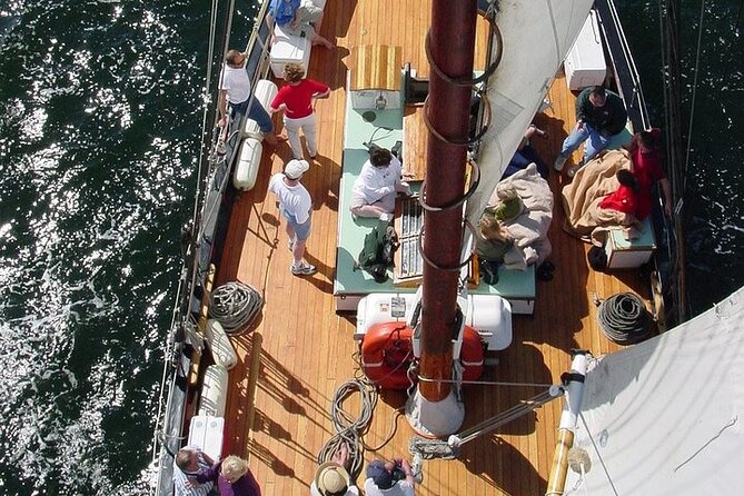 Key West Sunset Sail Aboard Legendary Schooner Appledore - Should You Book the Schooner Appledore Sunset Sail?