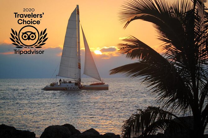 Key West Sunset Sail: Dolphin Watching, Wine, and Tapas - When the Ocean Acts Up: Weather, Comfort, and Dolphin Reality