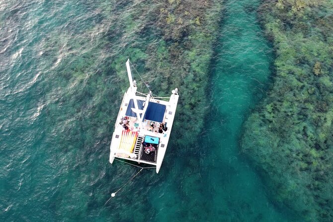 Key West: Sunset Sail + Reef Snorkel & Sandbar - Snorkel Prep on the Way: Premium Gear Plus Real Coaching