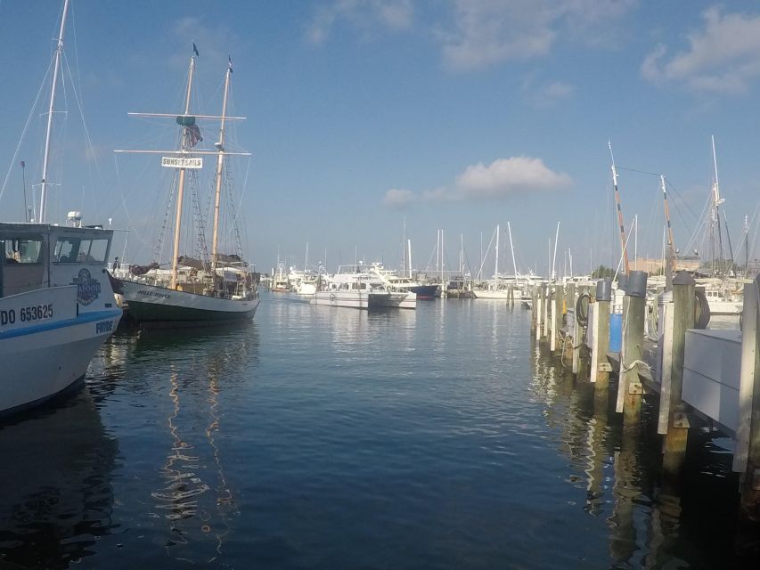 Key West Tour and Coral Reef Snorkeling with Open Bar - Catamaran Coral Reef Snorkeling: Gear, Showers, and Unlimited Drinks