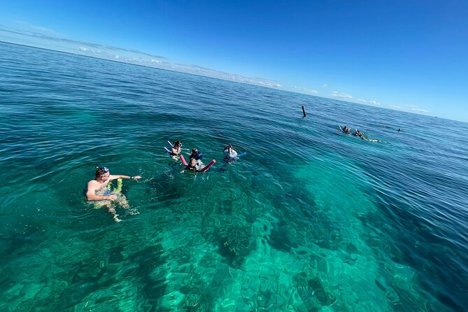 Marathon: COMBO- Snorkel & Sandbar (Coffins Patch Reef) - Who Should Book This Coffins Patch + Sandbar Combo?