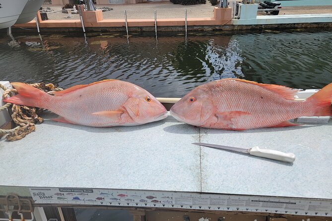 Marathon Florida Keys Fishing Experience - Who You’re Actually Fishing With: Captain Ed and Mikey