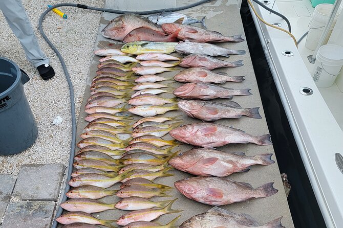 Marathon Florida Keys Fishing Experience - After You Catch: Cleaning and Turning Fish Into Dinner