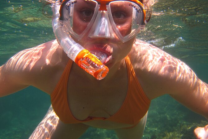Marathon Key: 3-hour Snorkeling adventure on a Pontoon at Sombrero Reef - Price and value: is $89 fair for this kind of day?
