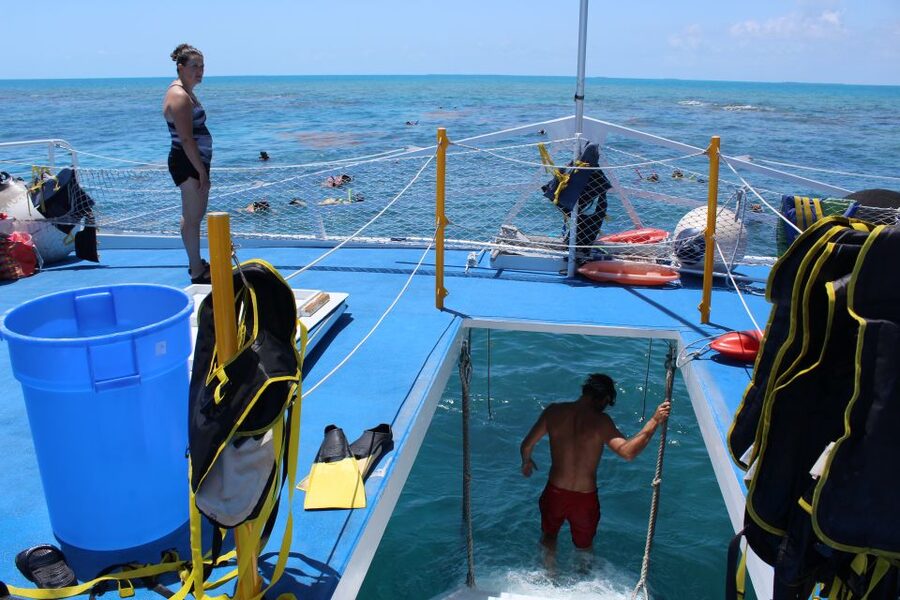 Miami: Key West Boat Tour w/ Optional Snorkeling & Open Bar - Key Points at a Glance