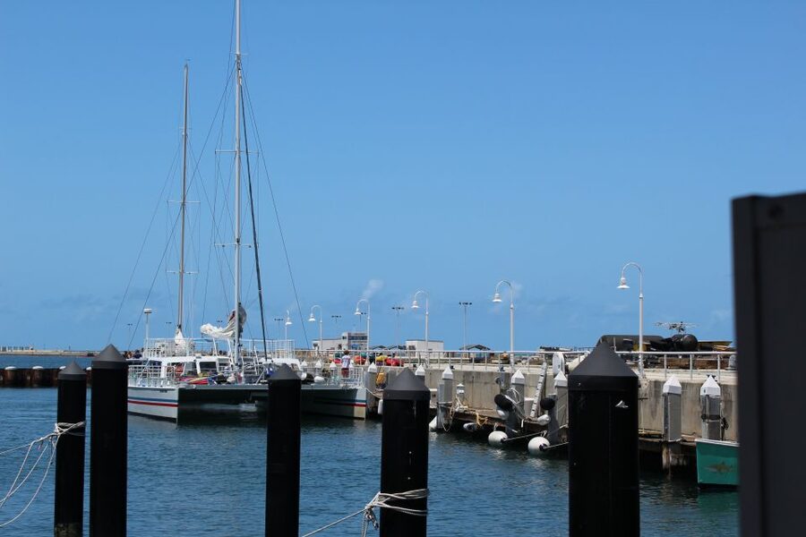 Miami: Key West Boat Tour w/ Optional Snorkeling & Open Bar - Key West Free Time: Useful Breaks, Limited Window