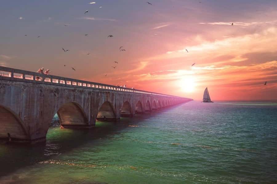 Miami to Key West Day Trip with Optional Activities - FAQ