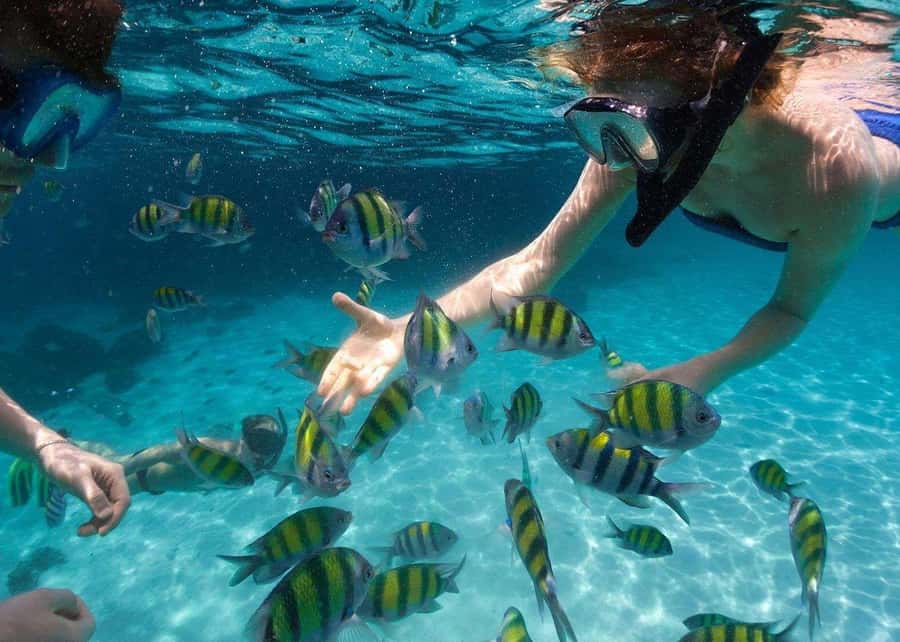 Miami to Key West Day Trip with Optional Activities - The Florida Keys drive: where the scenery does the talking