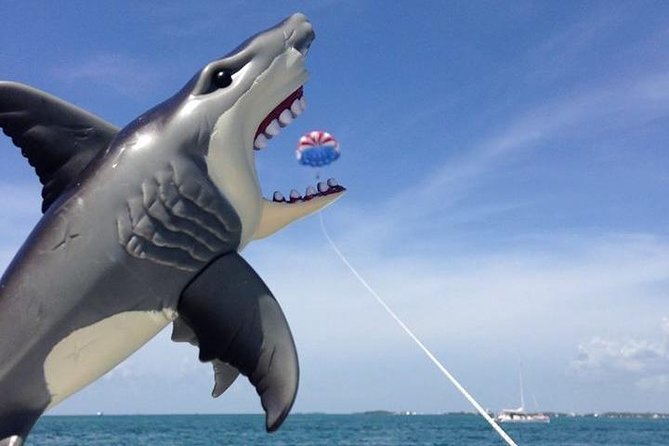Parasailing over the Historic Key West Seaport - Photo package value: when it’s worth buying (and when it might not be)