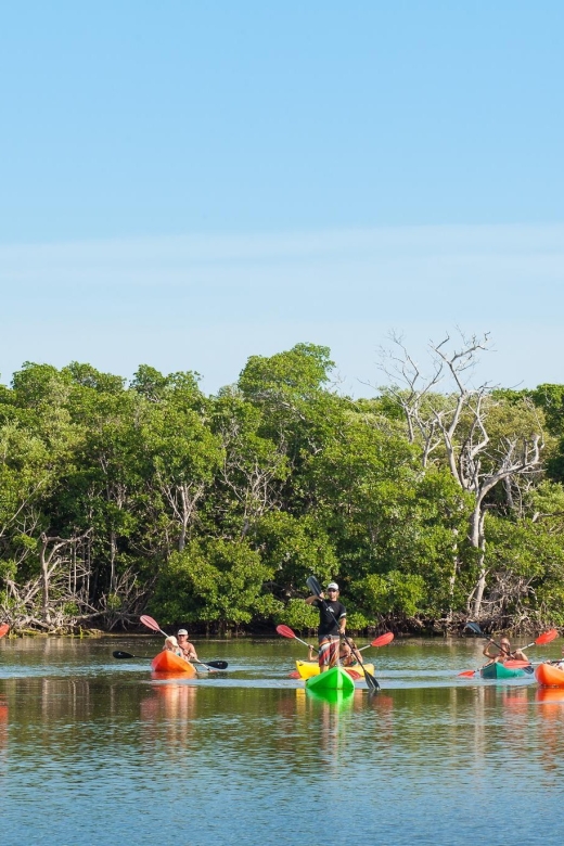 Premium Day Sail, Snorkel &, Kayak with Lunch - Lunch Onboard: A Real Meal Between Water Sessions