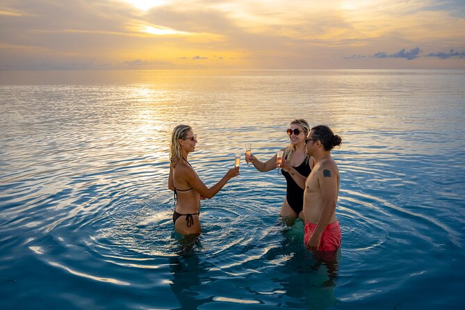 Private boat Charter key west, Dolphin tour, Snorkeling & Sandbar - Your 3.5 Hours at Sea: How the Day Flows