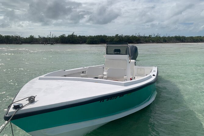 Private Boat Tour to Sand Bar Snorkel Dolphins and Sunset - Mangrove islands: paddleboard tunnels, snorkel breaks, and rope swings