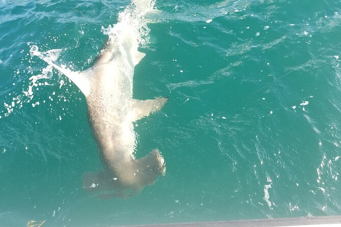 Private Fishing Charter Florida Keys - When Weather and Currents Push the Captain to Move
