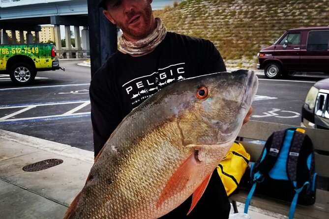 Private Fishing Charter Florida Keys - Price That Makes Sense for a Group (Not a Solo Bargain)