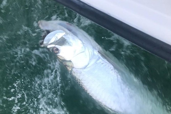 Private Fishing Charter from Ramrod Key - After the charter: Ramrod Key eats, tiki time, and souvenirs