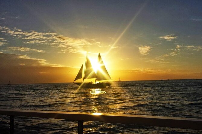Private Full-Day Tour of Florida Keys from Key Largo to Key West - Robbie’s of Islamorada: tarpon feeding is the headline