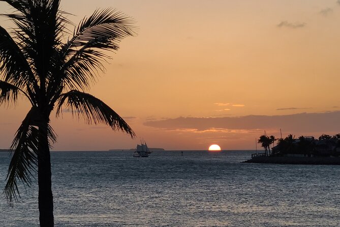Private Full-Day Tour of Florida Keys from Key Largo to Key West - The day starts at 8:00 am, so plan your pace