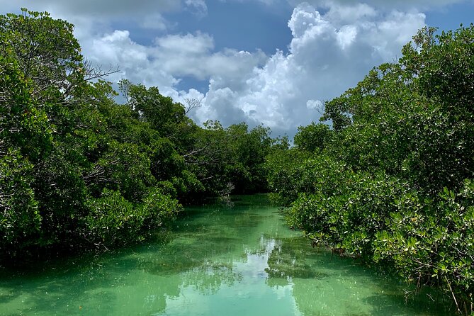 Private Key West Sandbar and Paddle by Boat - Price and value: $600 for a whole private boat