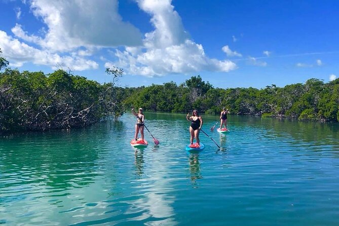 Private Key West Sandbar and Paddle by Boat - The 3.5-hour rhythm: what happens when