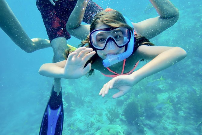 Private Looe Key Snorkel from Big Pine Key - Looe Key snorkeling: what makes this spot worth the trip