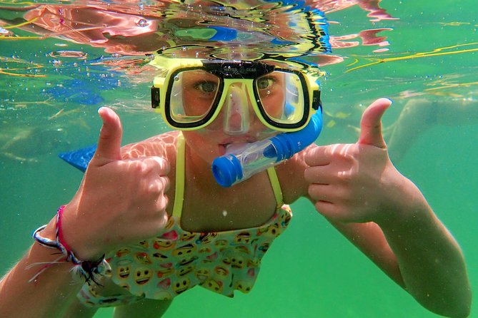 Private Looe Key Snorkel from Big Pine Key - Price and value: is $575 per group fair?