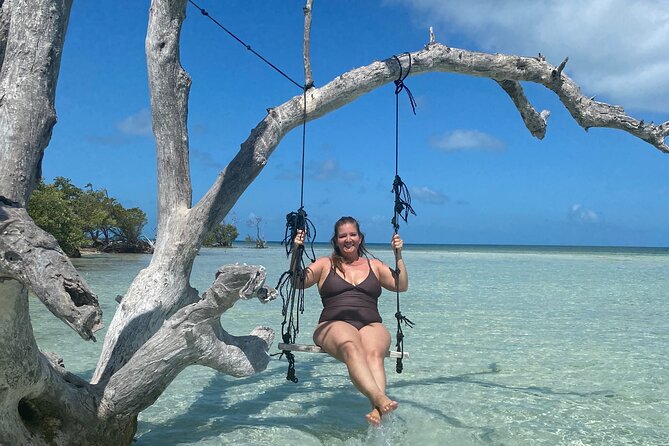 Private Sandbar Adventure in Key West Backcountry - The ride through mangroves: where the scenery comes from