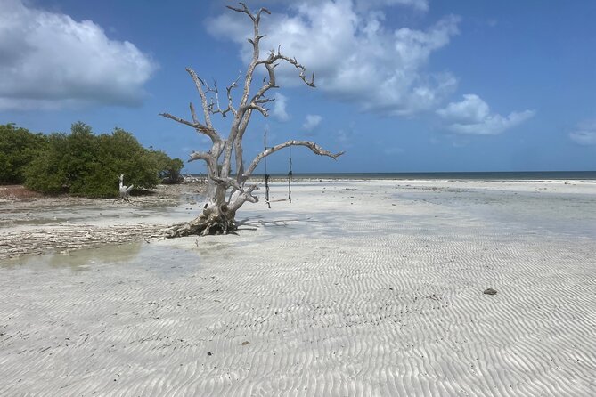 Private Sandbar Adventure in Key West Backcountry - What to pack (so you don’t spend the day being annoyed)