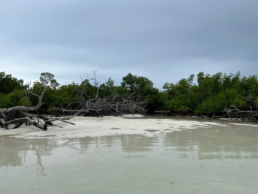 Private Sandbar Adventure in the Key West Backcountry - Sandbar time: paddle boarding, snorkeling, and downtime