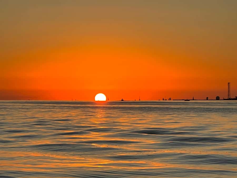 Private Sunset Cruise - Wildlife Watching: Dolphins and Marine Life on Your Schedule