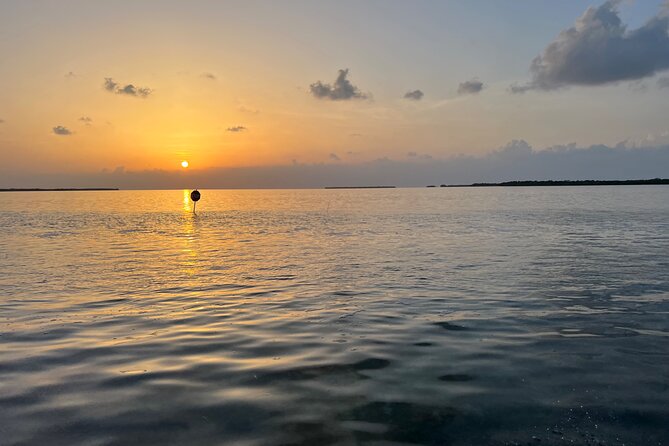 Private Sunset Cruise around Key West - Key things you’ll notice right away