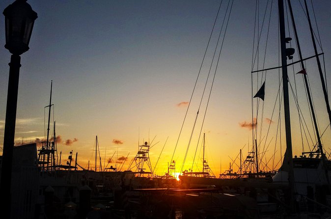 Private Tour of Florida Keys from Marathon to Key West - Price and Timing: Does It Add Up for $137 Per Person?