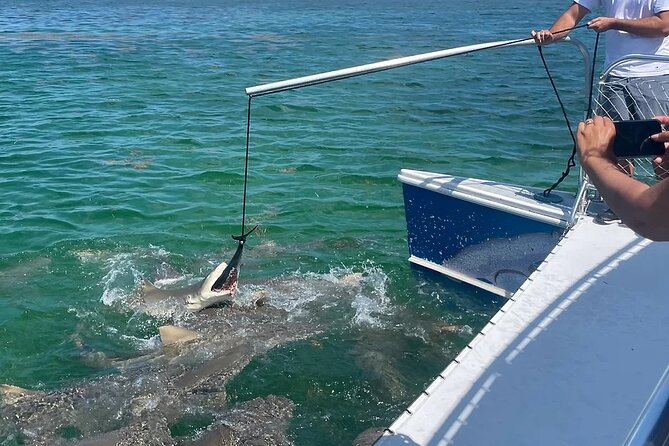 Shark and Wildlife Viewing Adventure in Key West - What You Actually Get for $99: Drinks, Snacks, Sunglasses, and a Bathroom