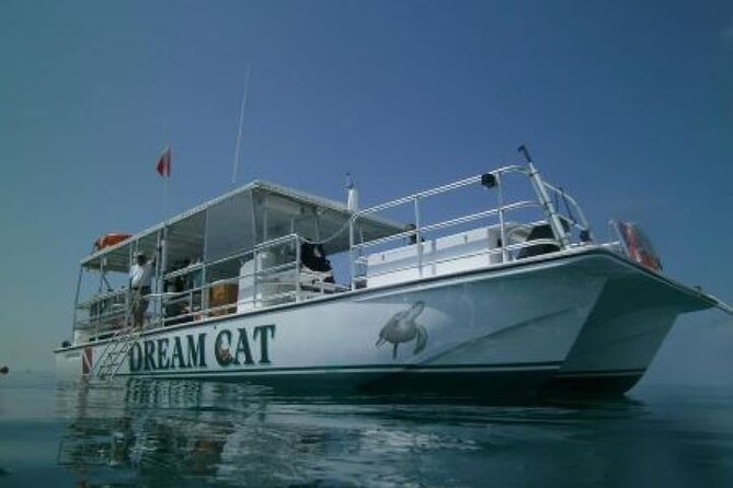 Small Group Key West Snorkel Adventure - The 1:30 pm start: how the timing works for the day