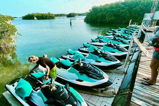 Smaller Groups = Better Experience! Key West Jet Ski Adventure - Stop 2: Mangrove Creeks and the Protected Wildlife Maze