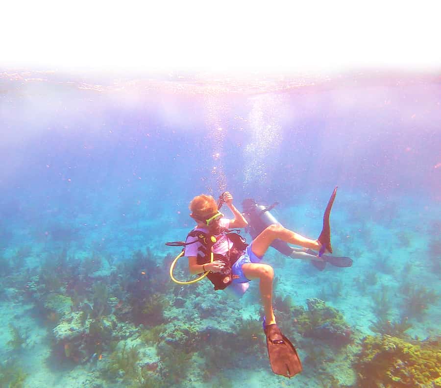 Southpoint Divers: Afternoon Reef Dive Trip - Key Points You’ll Care About