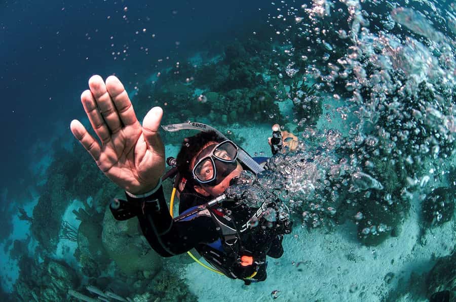 Southpoint Divers: Afternoon Reef Dive Trip - Why This Key West Afternoon Reef Swim Feels Low-Stress
