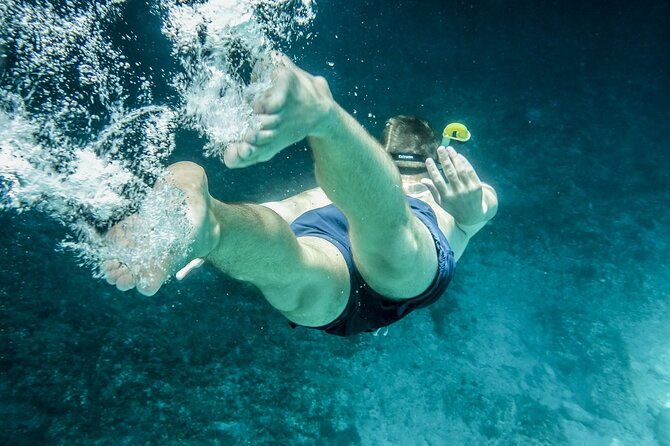 Ultimate Key West Day: Dolphin & Snorkel Combo with Sunset Sail - The Gap Between Cruises: Plan for the Long Stretch